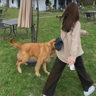 恶灵附体